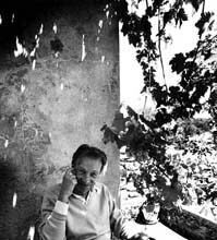 La vie éternelle de Philippe Jaccottet