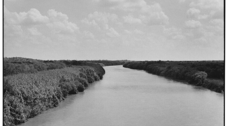 Zoe Leonard au Musée d’Art Moderne de Paris