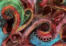 Max Ernst, Mondes magiques, mondes libérés