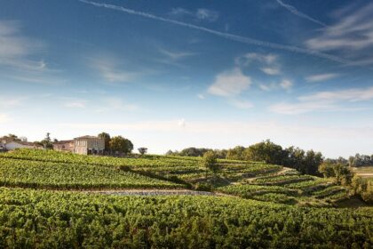 Vignobles K, au service de l’art et du patrimoine