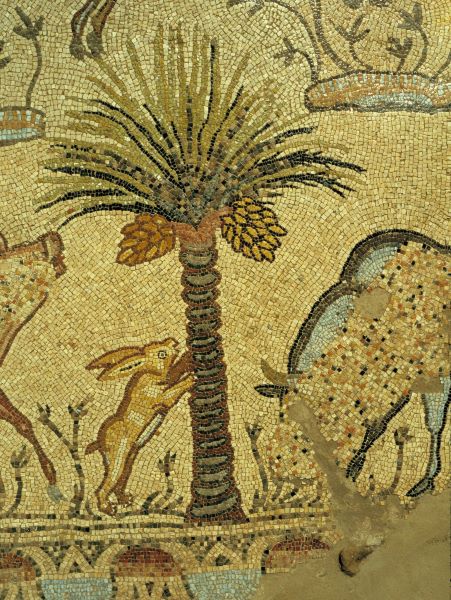 Trésors sauvés de Gaza - 5000 ans d'Histoire