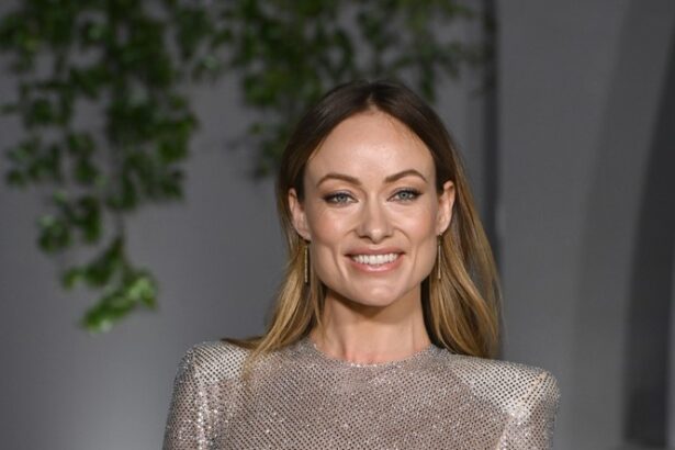 Olivia Wilde passe à l’offensive avec The Invite - 2214783181