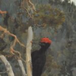 100 œuvres qui racontent le climat 
