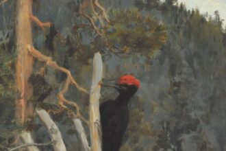 100 œuvres qui racontent le climat 