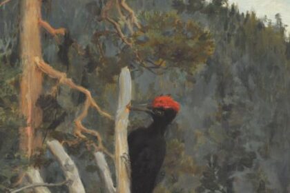 100 œuvres qui racontent le climat 