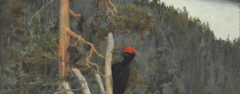 100 œuvres qui racontent le climat 