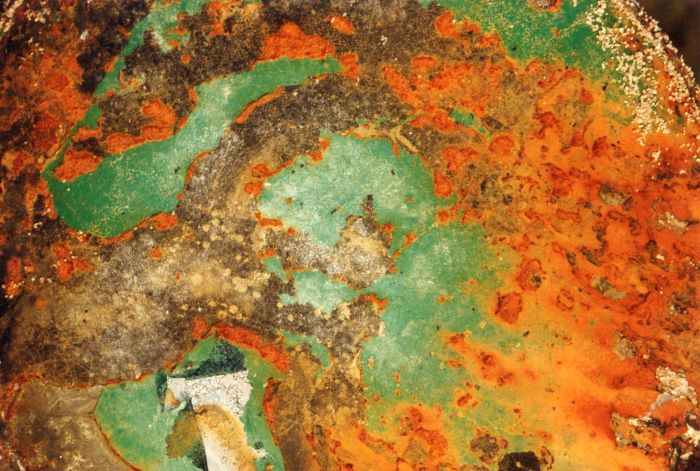 Pascal C. Tanguy entre brume et lumière