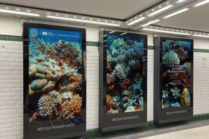 Une fenêtre sur l’océan