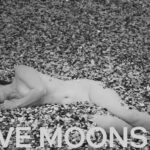 « Twelve Moons » dévoile un premier extrait