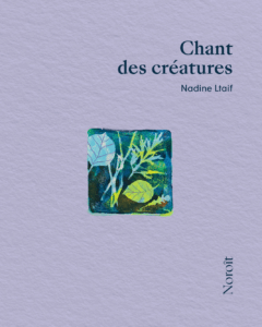 Nadine Ltaif - Petite mise en lumière