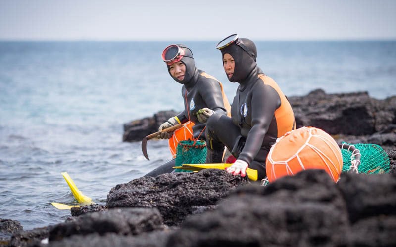 Île de Jeju vivre avec la mer