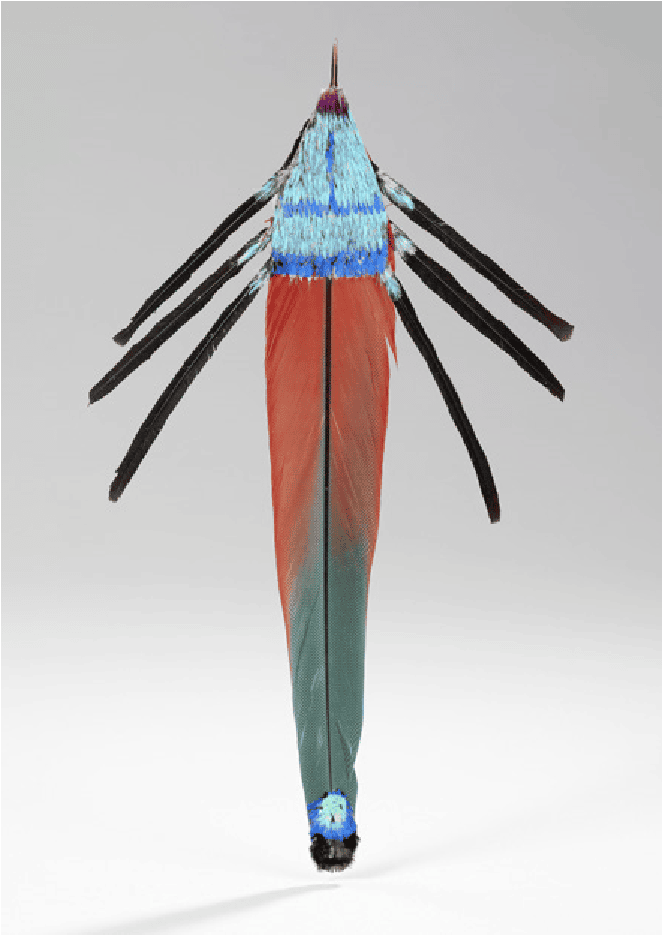 « Amazônia. Créations et futurs autochtones » Musée du quai Branly – Jacques Chirac