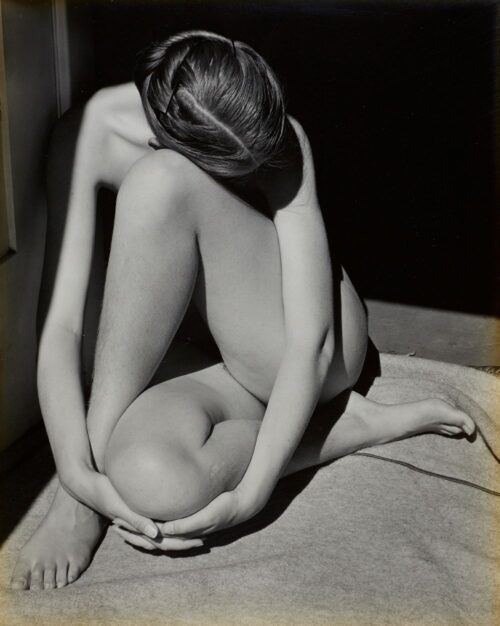 "Edward Weston - Modernité révélée" à la Maison Européenne de la Photographie