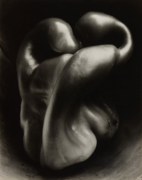 "Edward Weston - Modernité révélée" à la Maison Européenne de la Photographie