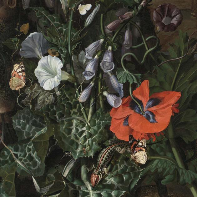 Rachel Ruysch : artiste, naturaliste et pionnière