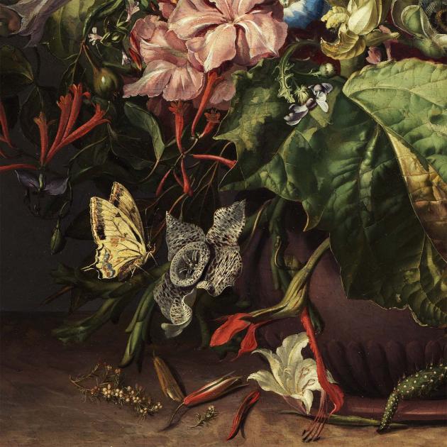 Rachel Ruysch : artiste, naturaliste et pionnière