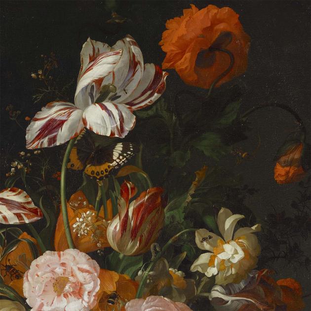Rachel Ruysch : la nature sublimée au MFA de Boston