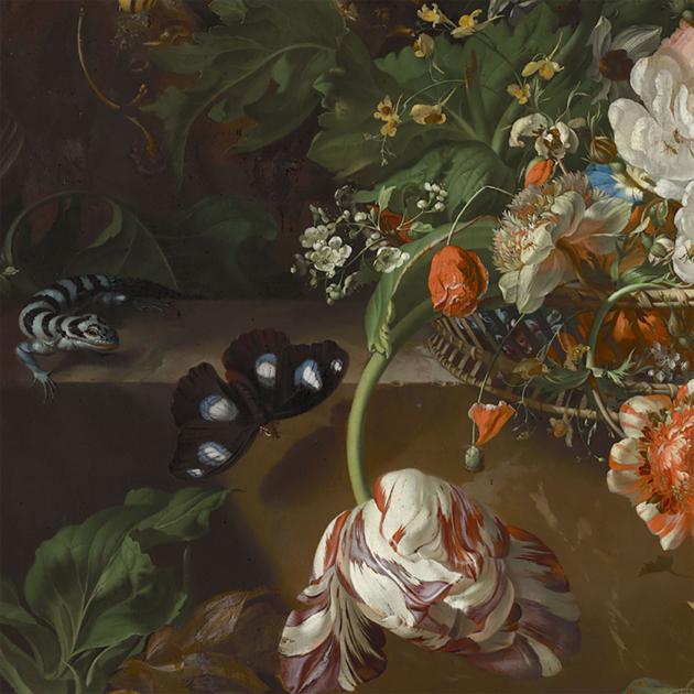 Rachel Ruysch : artiste, naturaliste et pionnière