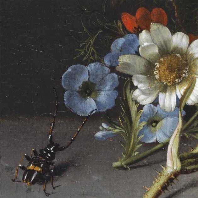 Rachel Ruysch : artiste, naturaliste et pionnière