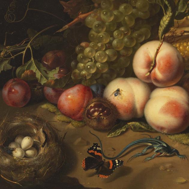 Rachel Ruysch : artiste, naturaliste et pionnière