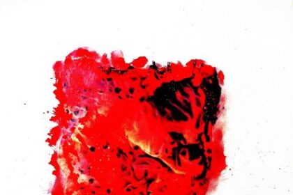 Rose was not a rose would be a rose is a rose d’Iren Mihaylova