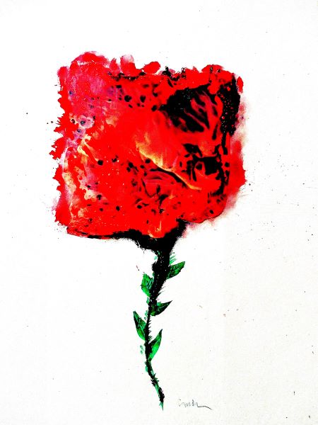 Rose was not a rose would be a rose is a rose d’Iren Mihaylova