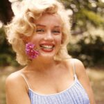 « Dear Marilyn » : Et si Marilyn avait encore quelque chose à nous dire ?
