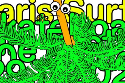 La 10ᵉ édition du Paris Surf & Skateboard Film Festival