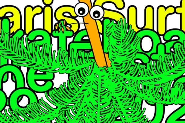 La 10ᵉ édition du Paris Surf & Skateboard Film Festival