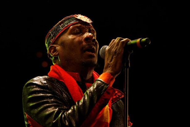 Jimmy Cliff, la voix du reggae s’éteint à 81 ans