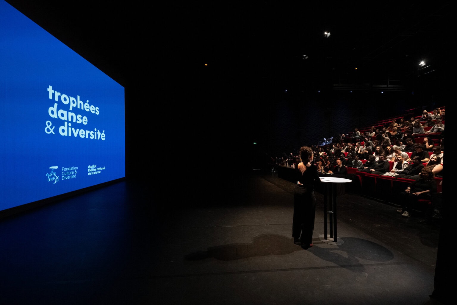 Trophées Danse & Diversité : les lauréats sur la scène de Chaillot