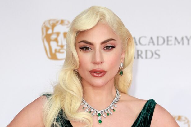 Lady Gaga, l’art de la métamorphose