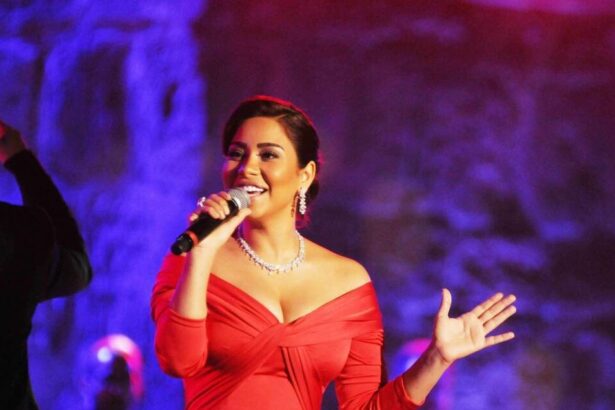 Sherine Abdelwahab : chanter pour survivre