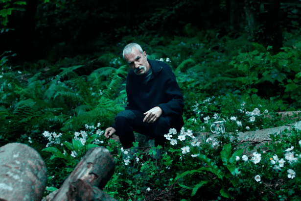 « Anemone » : pourquoi le retour de Daniel Day-Lewis au cinéma attire l’attention