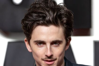 "Playground" : Timothée Chalamet dans une adaptation sur fond d’intelligence artificielle