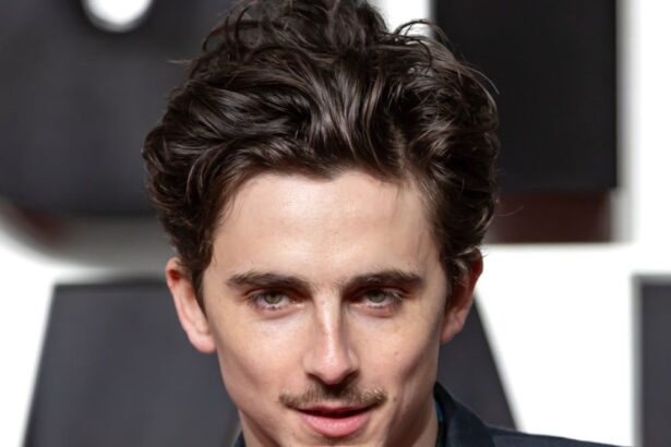 "Playground" : Timothée Chalamet dans une adaptation sur fond d’intelligence artificielle