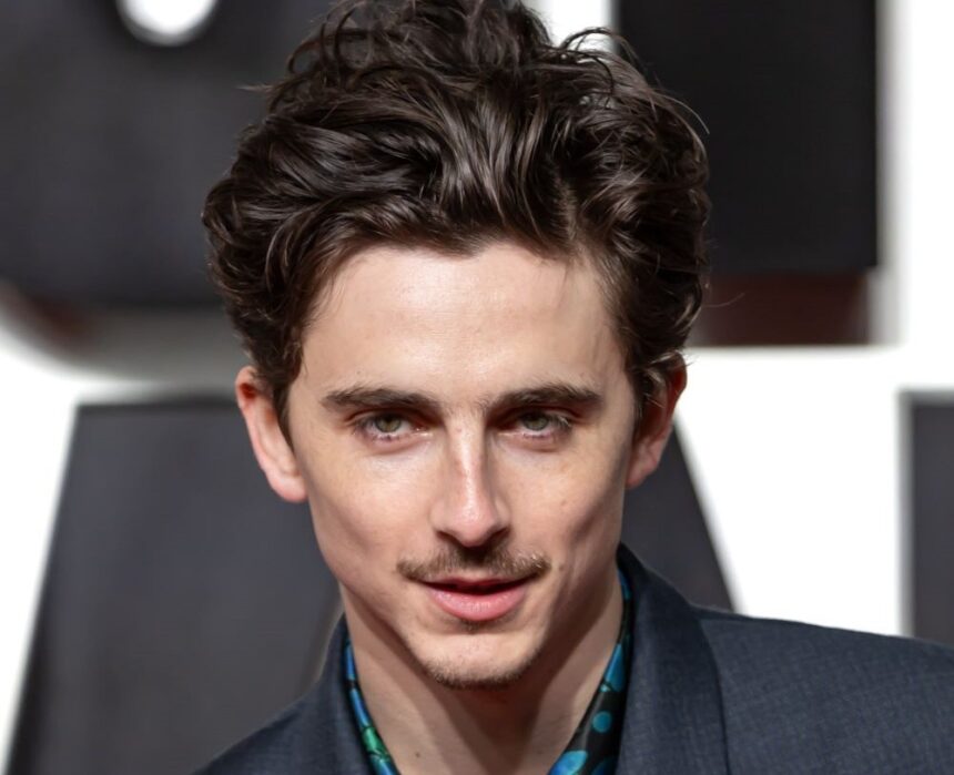 "Playground" : Timothée Chalamet dans une adaptation sur fond d’intelligence artificielle