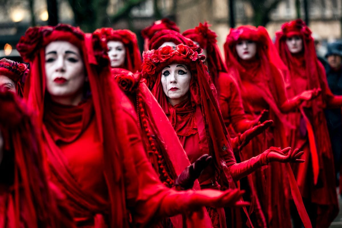 Qui a peur des fleurs