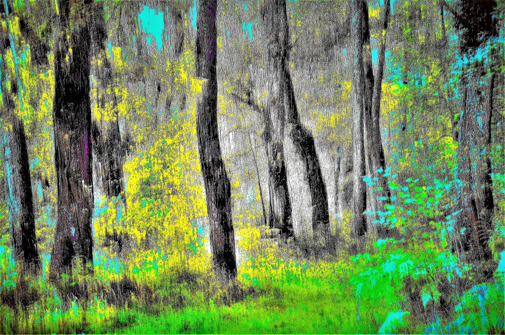 Guy Gouterman « Paysages diaphanes »