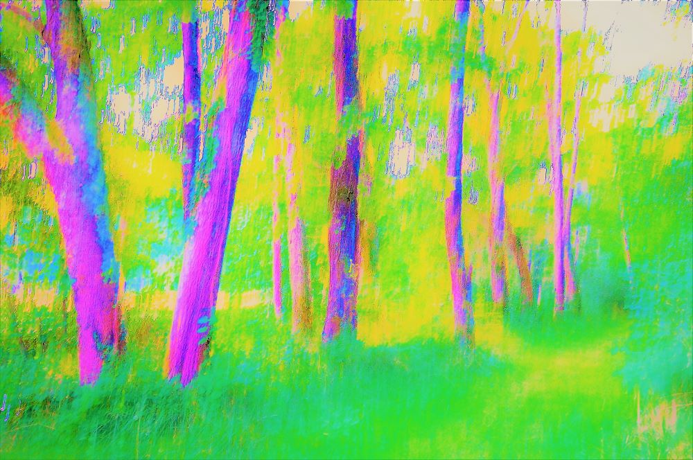 Guy Gouterman « Paysages diaphanes »