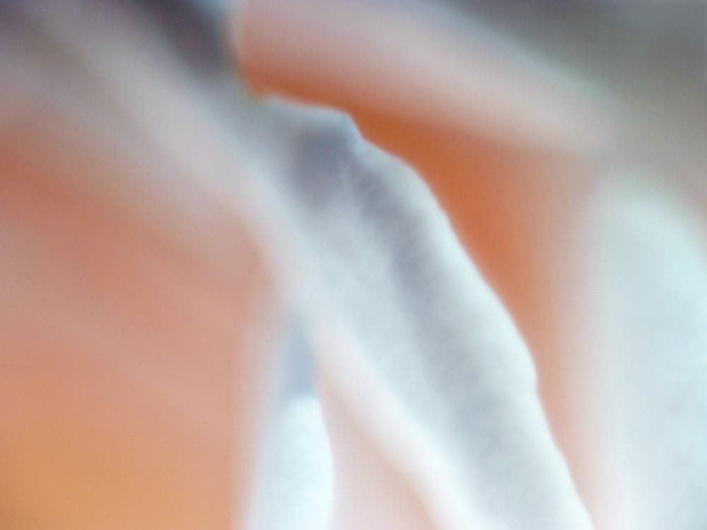 Guy Gouterman « Paysages diaphanes »