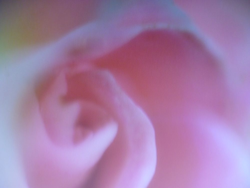 Guy Gouterman « Paysages diaphanes »