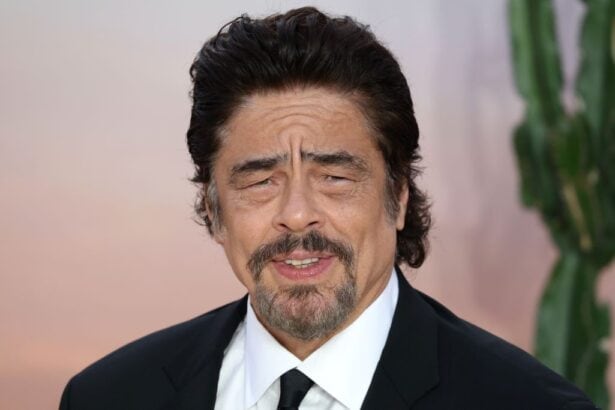 Benicio del Toro ou l'élégance de l'imprévisible