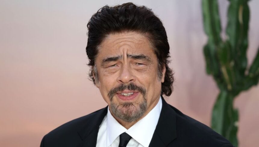 Benicio del Toro ou l'élégance de l'imprévisible
