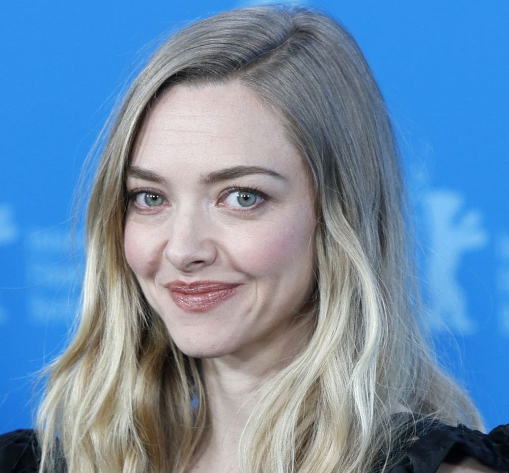 "The Life and Deaths of Wilson Shedd" : tout savoir sur le thriller avec Amanda Seyfried
