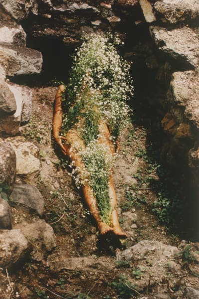 Ana Mendieta à la Tate Modern : une grande rétrospective consacrée à une artiste majeure du vingtième siècle