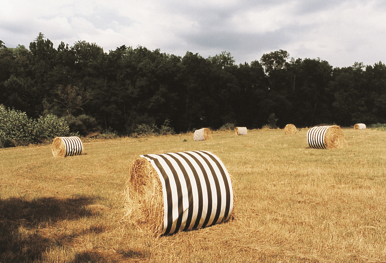 Centenaire de Claude Monet : "Invitation à Daniel Buren. "Plantations", travaux in situ, 2026" à Giverny