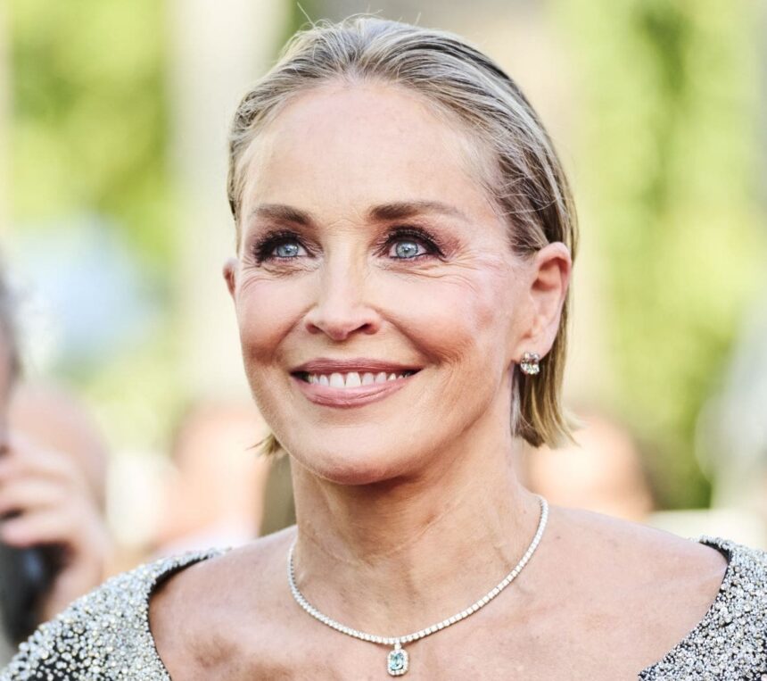 Basic Instinct : ce que l'on sait du reboot un an après son annonce