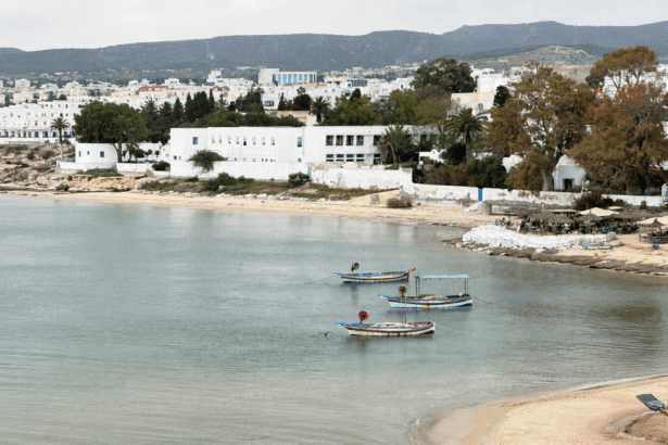 Journées culturelles estivales d'Hammamet 2026 : "Patrimoines et mémoires en péril"