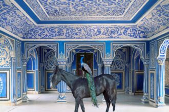PhotoSaintGermain 2026 : l'essentiel sur la 15e édition du festival de photographie